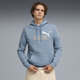 PUMA Logo Essentials Men's Hoodie