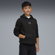 BMW M Motorsport Essentials Big Kids' Motorsport Hoodie
