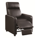 Coaster Toohey Push Back Recliner in Black 600181