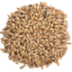 Bairds Carastan 55 lb Sack