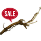 Chinook Hop Rhizome