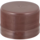 Replacement Screw Caps for PET Beer Bottles - Pack of 24