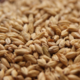 GN Zero Distillers Malt | Rahr Malting