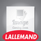 Lallemand CVRP? | Dry Wine Yeast | 500 g