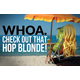 Hop Blonde | 5 Gallon Beer Recipe Kit | Extract