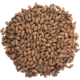 Coffee Malt - Simpsons Malt