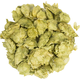 Willamette Hops (Whole Cone)