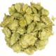 Amarillo® Brand VGXP01 | Whole Cone Hops