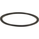 Fermentasaurus Replacement Lid Seal
