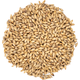 Golden Ale Malt - Viking Malt