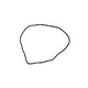 Aladdin 18" O-Ring Anthony 17433 Purex P24215 | O-293-9