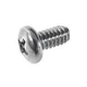 Pentair SpaBrite & AquaLight Screw | Stainless Steel | 98208600