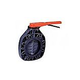 Fluidra USA 3" Butterfly Valve 150 PSI EPDM Seal & Stainless Shaft | 16708
