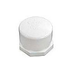 Waterco Cap 1" FPT Threaded PVC | 88B3043