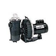 Pentair Challenger 1.5HP High Flow Pool Pump Full Rated 115V 230V | 342231