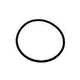 Pentair Waterfall/Challenger Pump Diffuser O-Ring | 355331 | 355331Z