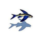 Ceramic Mosaic Flying Fish-C with Shadow | 12" x 12" | FF47/SH