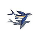 Porcelain Mosaic Flying Fish-B with Shadow | 8" x 6" | PORC-FF14/SH