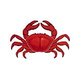 Porcelain Mosaic | Red Crab | PORC-RC11-12