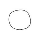 Hayward Body O-Ring l CCX1000G