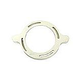 Pentair Cam & Ramp Strainer Lid Clamp | 350090