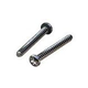 Hayward Diffuser Screw | Set of 2 | SPX3200Z8