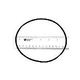 Hayward Housing O-Ring | SPX0710XZ5