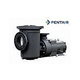 Pentair EQ500 Series Premium Efficiency Commercial Pool Pump with Strainer | NEMA Rated | Single Phase | 230V 5HP | 340030