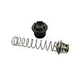 Pentair MasterTemp & Sta-Rite Max-E-Therm Thermal Regulator Kit | 77707-0010