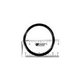 Pentair Sta-Rite Slide Valve Replacement Parts | O-Ring | 273062