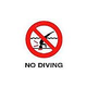 Depth Marker 4" Frost proof tile | No Diving Symbol Non-Skid | C621500