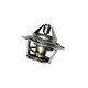 Raypak Unitherm Governor | 600885