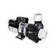 Gecko AquaFlo FloMaster XP2 | 48-Frame 230V 3.0 HP 2.0 OPHP 2-Speed | 06120500-2040