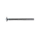 Pentair Clamp Band Carriage Bolt | 5/16" 18 x 4.25" | 152060