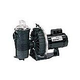 Pentair Challenger 1.5HP High Flow Pool Pump Full Rated  208V 230V | 342236