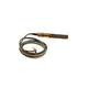Pentair Pilot Generator Q313 with Clip Millivolt P24726 | 071515