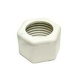 Polaris Nut Sweep Hose | 48-019