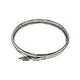 Pentair Filter Clamp Kit Kit with Tension Control Assembly | FNS Plus and Clean & Clear Plus Filter Tanks | 190003