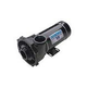 Waterway Executive 48 Frame | 2-Speed 5HP 230V 2" Intake 2" Discharge | 3422021-1A