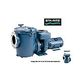 Sta-Rite CSP Series 10HP Nema Single Phase Cast Iron Pool Pump Without Strainer | 230V | CSPHL-143