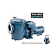 Sta-Rite CCSP Series 20HP Nema 3-Phase Epoxy Coated Cast Iron Pool Pump Without Strainer | 230-460V | CCSPHN3-145