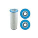Replacement Cartridges for Pentair Predator and Clean & Clear 200 | 200 Sq Ft | R173217 59054400 FC-0688 C-9419 XLS-904 29902 PC-0688 PAP200 10201