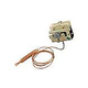 Hayward Heater Thermostat without Knob | CHXTST1930