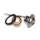 Raypak Unitherm Governor Assembly 33/R33 | 002546F
