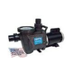 Waterway Champion 56-Frame 1.5HP Standard Efficiency Maximum Rated 2-Speed Pool Pump 230V | CHAMPS-215