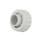 Waterway Union Nut with 3/4" Slip Tail | 400-1960