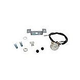 Raypak Potentiometer Temperature Control Kit | 005087B