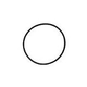 Pentair Diverter Valve Replacement Parts | O-Ring | 51016200 | 51016200Z