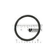 Pentair O-Ring Bulk/Elbow System | 35505-1429