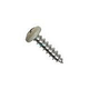 Pentair Screw Pan Head Phillips Almond  #10 x .75" for UltraTemp Heat Pump | 470159